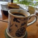 알토 | 듀얼소닉 알토 고주파마사지기 사용 후기