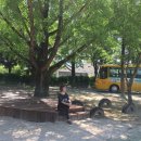 칠곡면신포숲 이미지