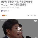 정몽규 회장, 국정감사 불출석…&#34;U-17 여자월드컵 출장&#34; 이미지