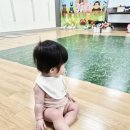 문화농장 | 랄랄라 코알라 농장의 동물들 롯데마트 문화센터 구미점 세 번째 수업 후기