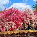 도화보건지소 이미지