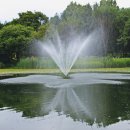 쉼터사슴 이미지