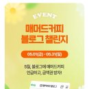 매머드익스프레스송파