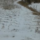 복평농장 이미지