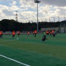 용인대필승태권도 이미지