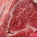 성동축산 이미지