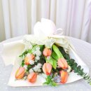 한아름김밥 이미지