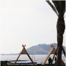 달콩 제주 이미지