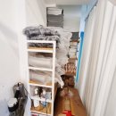 대구중앙중학교 이미지