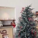 구스타브 | [경기 수원] 구스타브 / 신동카페거리 맛집