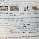 왕초보영어 이미지