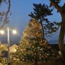 경주엘마르펜션 이미지