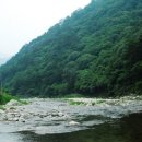 내린천 자연세상 이미지