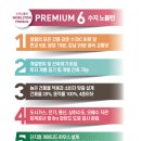 턴메이드 이미지