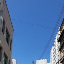 보세몰