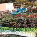 제주 유리의 성 이미지