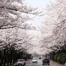예래동주민센터[서] 네이버블로그