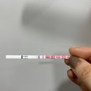 놀러와 뽑기나라 | 만나서 반가워 👶🏻🤍