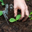 하나3농 이미지