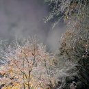 정이네부뚜막 | 눈 관련 한시 2수 : 민사평 눈(閔思平 雪), 이숭인 첫눈(李崇仁 新雪)