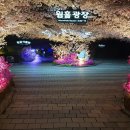 광명동굴 (코끼리차 주차장) 이미지