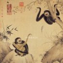 주만장 朱万章 : 명청화가의 영 원숭이 미술품 서화 이미지