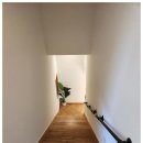 벽계수림 이미지