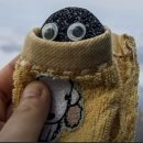 반려반상 이미지