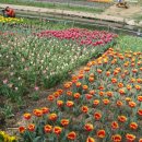 세느파크 이미지