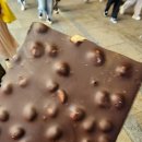 화이트래빗 이미지