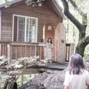 별을 다는 아이 이미지