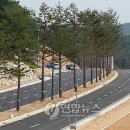사임당로 이미지