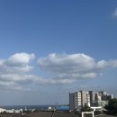 까사까미노 | 더아일랜더/클래식문구사/사슴책방/난산리다방조아가지구/목화휴게소편의점/로미뮤직하우스/까사까미노