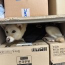 누구개요 이미지