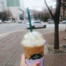 롯데이천토리버치