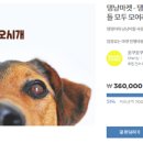 성수 Daum카페