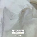 아미주AMIJU