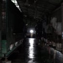 곰두마리농장 이미지