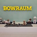 바우라움 수원신갈캠퍼스 이미지