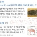(주)하늘천