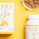 뚱강아지 이미지