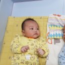 베베스쿨어린이집 이미지