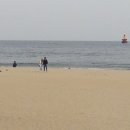 송*석 이미지