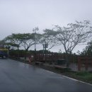 솔오름전망대 이미지