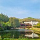 체리오네일