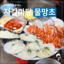 자갈마당 | [부산 맛집] 영도 태종대 조개구이촌 물망초 등 자갈마당 솔직후기