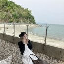 골드오션 이미지