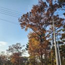 (주)이게임스퀘어 | 여행] 대부도 단체펜션 독채 풀빌라 대부도 가족펜션 내돈내산 &#34;네이베이 풀빌라&#34; 스퀘어 자세한 후기(1)