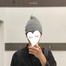 방한용품 전기장판 쇼핑 / 맥도날드 맥그리들스 케데헌맥플러리 / 안작비스킷 후기 / 라이징타이드 재방문)