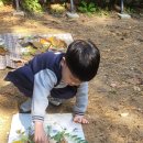 꿀참나무숲 유치원 | 수원 광교 유아숲체험 5살 동고비생태학교 6개월 후기